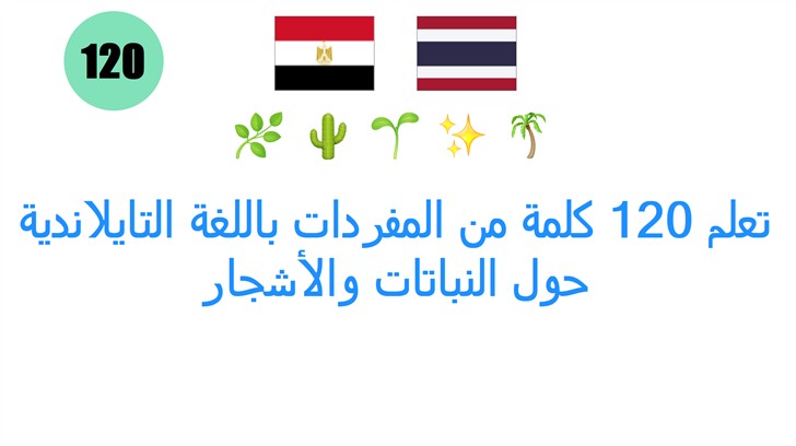 تعلم 120 كلمة من المفردات باللغة التايلاندية حول النباتات والأشجار